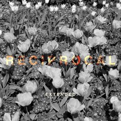 Rename - Reciprocal (Extended) (2017) [Single]