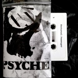 Psyche - Nocturnal Passenger - Live 87/88 (2016)