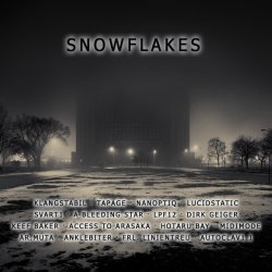 VA - Snowflakes (2010)