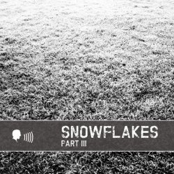 VA - Snowflakes III (2012)