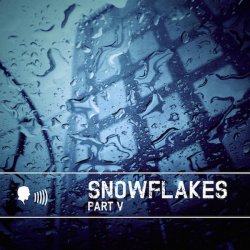VA - Snowflakes V (2014)