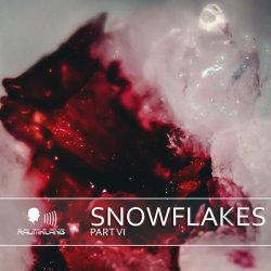 VA - Snowflakes VI (2015)
