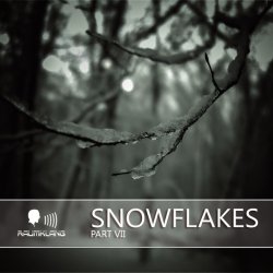VA - Snowflakes VII (2016)