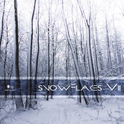 VA - Snowflakes VIII (2017)