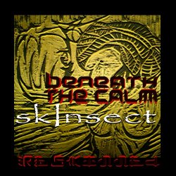 Beneath The Calm - skInsect ~ reskInned (2017)