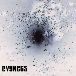 Cygnets - Age Of Confusion: An Electronic Reinterpretation Of 'Bleak Anthems' (2012)