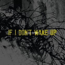 Life Cried - If I Don't Wake Up (2015)