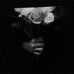 Paper Dollhouse - Aeonflower Redux (2018) [EP]