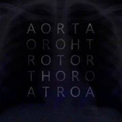 D/SIR - Aorta (2014) [Single]