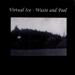 Virtual Ice - Waste And Feel (2002)