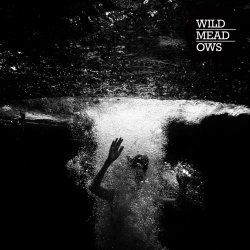 Wild Meadows - Wild Meadows (2018)