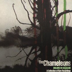 The Chameleons - Dreams In Celluloid: A Collection Of Rare Recordings (2013)