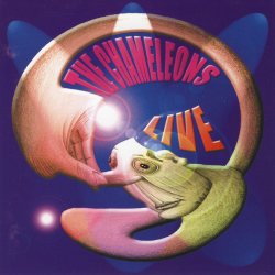 The Chameleons - Live At The Academy (2002) [2CD]