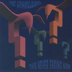 The Chameleons - This Never Ending Now (2002)