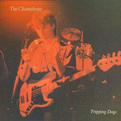 The Chameleons - Tripping Dogs (1990)