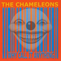 The Chameleons - Why Call It Anything (2001)