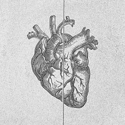 ARM - Enheartened (2014)