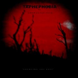 Taphephobia vs. Coph'antae Tryr - Counting The Days (2011) [Split]