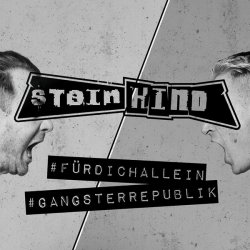 Steinkind - Für Dich Allein / Gangsterrepublik (2016) [Single]