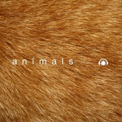 Lifelong Corporation - Animals (2015) [Single]