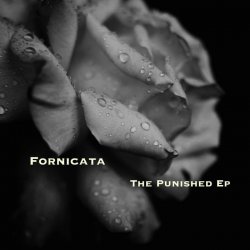 Fornicata - The Punished (2017) [EP]