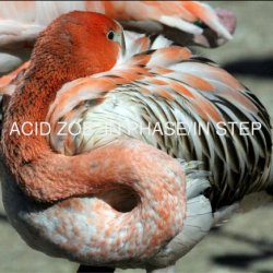 Acid Zoe - In Phase / In Step (2018) [EP]