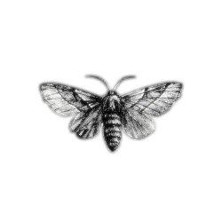 Hello Moth - Infinitely Repeated (2013)