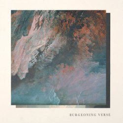 Ben Chisholm & Felix Skinner - Burgeoning Verse (2018)