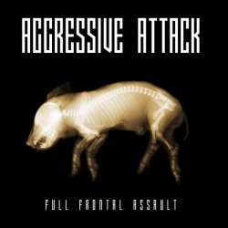 Aggressive Attack - Full Frontal Assault (2009)