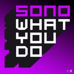 Sono - What You Do (2010) [Single]