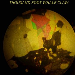 Thousand Foot Whale Claw - Time Brothers (2012)