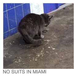 No Suits In Miami - EP (2018) [EP]