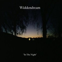 Widdendream - In The Night (2018)