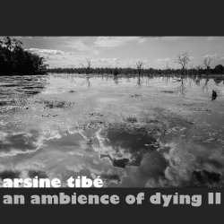 Arsine Tibé - An Ambience Of Dying II (2018) [EP]