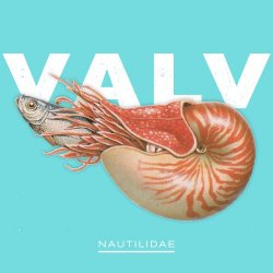Valv - Nautilidae (2018) [EP]