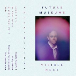 Future Museums - Visible Nest (2017)