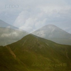 R.Roo - Delicate Reflex Pt. 3 (2018) [EP]