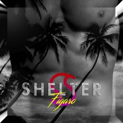 Shelter - Figaro (2016) [Single]
