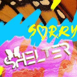 Shelter - Sorry (2017) [Single]
