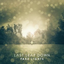 Last Leaf Down - Fake Lights (2014)