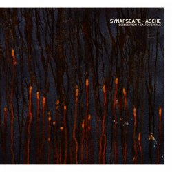 Synapscape & Asche - Scenes From A Galton's Walk (2006)