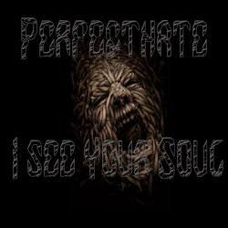PerfectHate - I See Your Soul (2013)