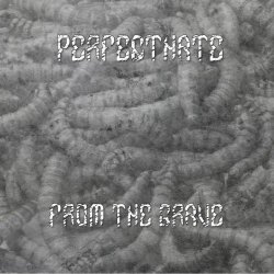 PerfectHate - From The Grave (2018) [EP]