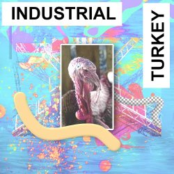VA - Industrial Turkey (2018)
