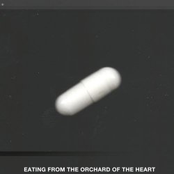 VA - Eating From The Orchard Of The Heart (2018)