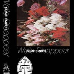 Some Ember - Walls Disappear (2014) [EP]