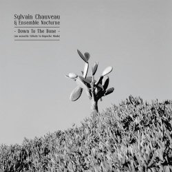 Sylvain Chauveau & Ensemble Nocturne - Down To The Bone (An Acoustic Tribute To Depeche Mode) (2005)