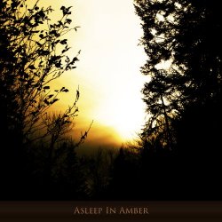 Hilyard - Asleep In Amber (2016)