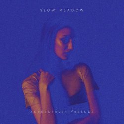 Slow Meadow - Screensaver Prelude (2018) [Single]