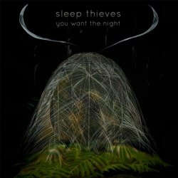 Sleep Thieves - You Want The Night (2014)